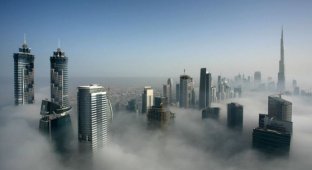Туман в Дубаи (16 фото)