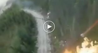 Спецслужбы США изучают видео, где над лесом распыляют зажигательную смесь