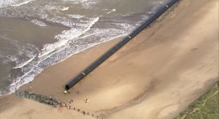 На британское побережье вынесло гигантские пластиковые трубы (3 фото)