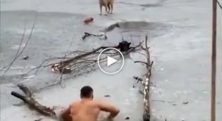 Мир не без добрых людей. Мужчина полез спасать собаку которая оказалась в ледянной воде