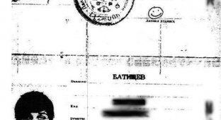 Смайлик в паспорте вместо подписи (2 фото)
