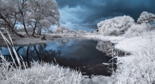 Зима — это шедевр (16 фото)