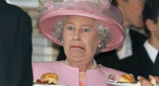 13 правил британской короны которые не не по зубам даже королеве (13 фото)