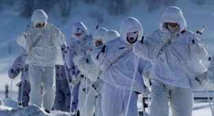 Шойгу создает специальную арктическую группировку войск (19 фото + видео)