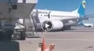 В Борисполе девушка решила позагорать на крыле самолета