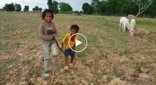 Камбоджийские дети голыми руками ловят змей