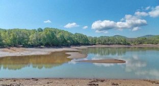 В Приморском крае из-за бездействия чиновников погибает озеро (12 фото)