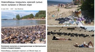 Купаться запрещено! Только в страшном сне можно оказаться на таких пляжах России (13 фото)