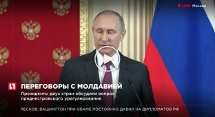 Путин оценил российских проституток. Они у нас лучшие в мире