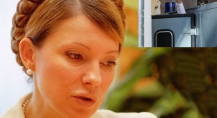 Юлию Тимошенко приговорили к 7 годам тюрьмы (6 фото + 2 видео)
