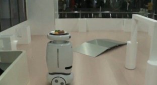Wheelie - новый робот от Toshiba (видео)