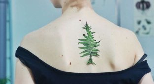 Природные татуировки: вместо эскизов эта татуировщица использует настоящие растения (12 фото)