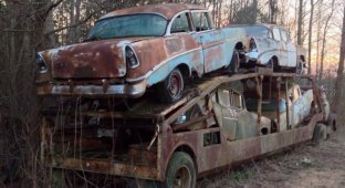 Автозоз с классическими Chevy найденный в лесу (11 фото)
