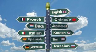 Интересные факты о переводах и языках мира (1 фото)