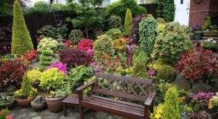 Прекрасный английский сад (13 фото)