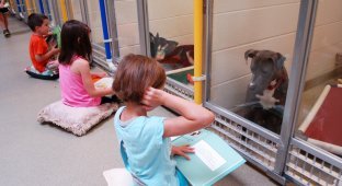 Дети успокаивают собак из приюта, читая им книги (3 фото + 1 видео)