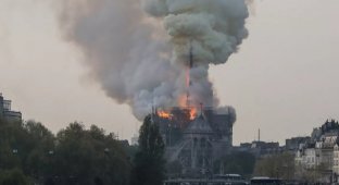 Пожар в Cоборе Парижской Богоматери (10 фото + 3 видео)