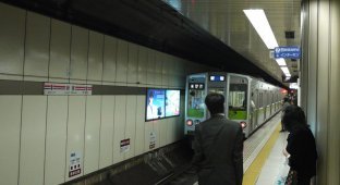 Светлая сторона Токийского метро (21 фото)