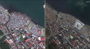 Тайфун Хайян: до и после (7 фото)