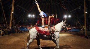 Индийский цирк «Рэмбо» (11 фото)