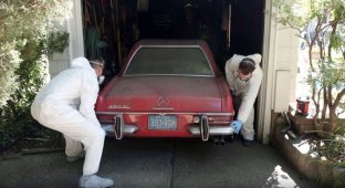 Первая мойка классического Mercedes-Benz, который простоял в гараже 37 лет (2 фото + 1 видео)