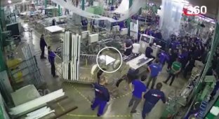 На заводе «Экоокна» в Бужаниново из-за серой зарплаты мигранты устроили массовую драку