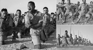 Как солдаты-маори танцевали перед британским королем (10 фото)