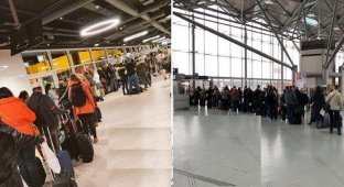 Лоукостер Ryanair выстроил пассажиров в огромные очереди (8 фото)