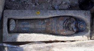 В сеть выложили фотографии «последних мумий» Древнего Египта (4 фото)