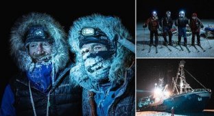 Путешественников чудом спасли с Северного полюса (6 фото)