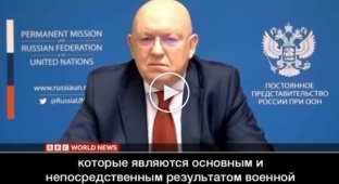Журналист BBC уличил постпреда РФ при ООН Небензю в распространении неправдивой информации