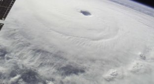 Ураганы – вид из космоса (22 фотографии)