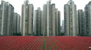 В Китае установили новый рекорд — 50,000 пенсионеров в 14 городах станцевали одновременно (12 фото + 1 видео)