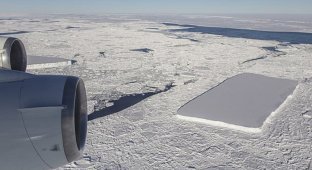 Антарктические айсберги грозят всемирным потопом (14 фото + 1 видео)