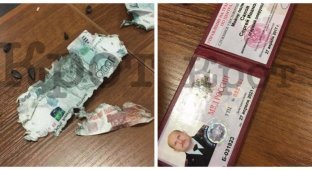 Майор транспортной полиции съел взятку и закусил семечками (3 фото)
