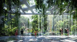 В Дубае планируется открытие первого в мире отеля с собственным тропическим лесом (8 фото)