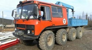 Самодельный покоритель Сибири: вездеход, сделанный из автобуса, грузовика и трактора (6 фото)