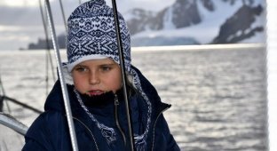 Как в 8 лет побывать в Антарктиде (27 фото + 1 видео)