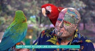 "Человек-попугай" тратит пенсию на татуировки и пирсинг, чтобы быть похожим на любимую птицу (5 фото)