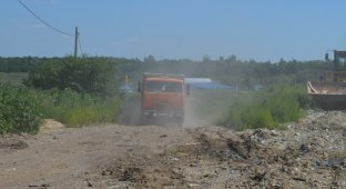 В Белгородской области уничтожили 10 тонн «санкционного» сыра (9 фото)