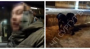 "Отпустите меня, сволочи!": в Сургуте полицейские изолировали упрямую антимасочницу (3 фото + 2 видео)