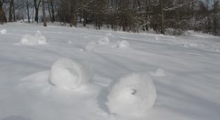 Снежные рулоны (17 фото)