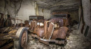 Во Франции нашли старинные автомобили, спрятанные под землей от немцев (11 фото)