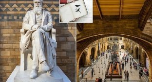 Дарвина уволят из Музея естественной истории (6 фото)