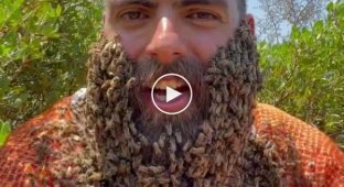 Невозмутимый ливанец позволяет сотням пчел ползать по своей бороде