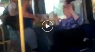 Молодая девушка нокаутировала женщину в автобусе