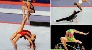 Красота гибкости и силы: фото с чемпионата по гимнастике (12 фото)