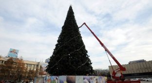 Главную елку Краснодара украшает изображение постапокалиптической Москвы (3 фото)