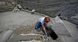 Археологи нашли скелет человека, убегавшего от Везувия. Но его остановил не вулкан, а кое-что другое (5 фото)