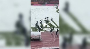 В Швейцарии снегопад чуть не сорвал матч. На помощь пришли футбольные болельщики